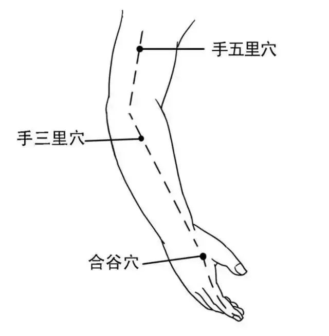 肘横纹下3指宽「说明:标准经络图孔最穴是肘下五寸,这里借用了这个