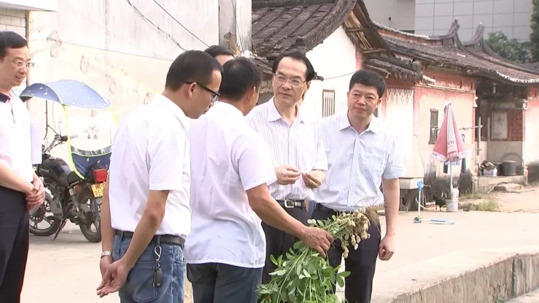 安溪:高向荣到湖上 湖头调研