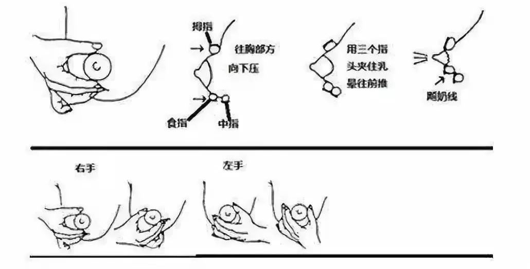 学会这套开奶手法轻松让宝宝吃上黄金初乳