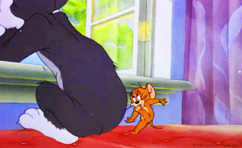 这不,阿凉的粉丝最近投稿了一些