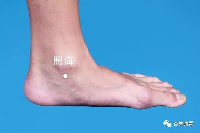 趾什么前成语_趾疣是什么样子图片(2)