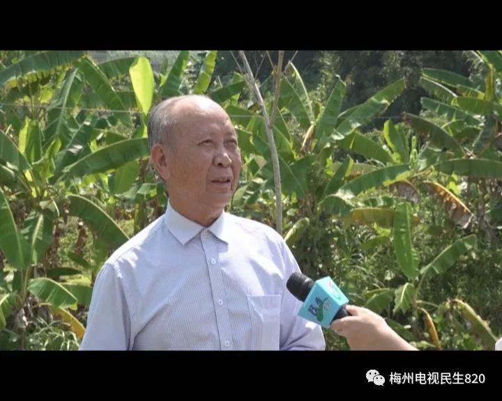 潭石镇人口_人口普查(3)