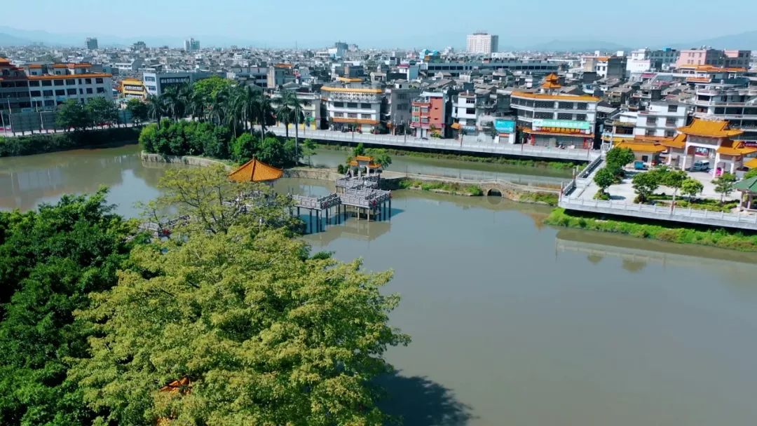 航拍揭阳棉湖木棉挺拔云湖畔千年古镇风景独好