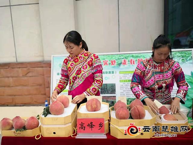 禄丰县高峰乡农村增果行动再提速