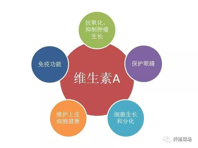 cde98e8126e346fba971ba0733493850.JPG
