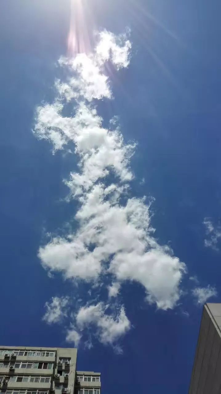 d351b7990e5b4ac785985a504dea42e8.jpeg