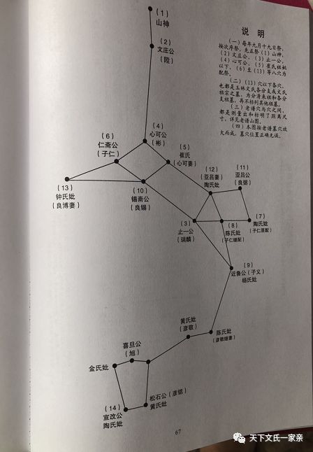 广西省玉林文氏人口_玉林覃姓人口分布图(2)