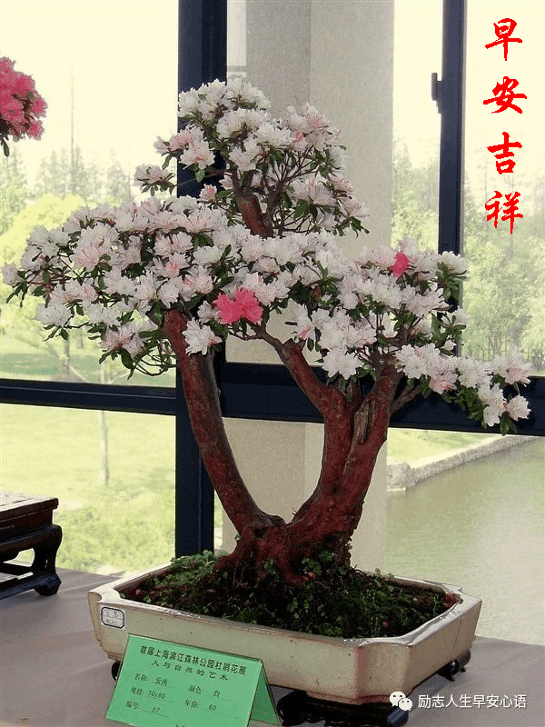 600_800 竖版 竖屏