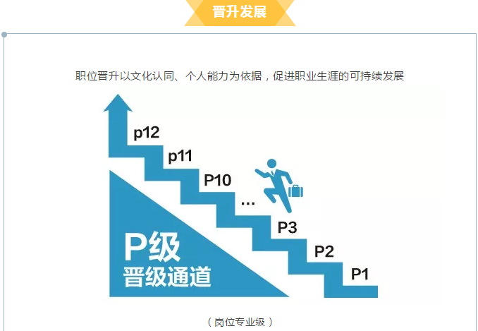 安康招聘网_2020陕西安康事业单位招聘报名网址 http rsj.ankang.gov.cn 安康市人力资源和社会保障局网(2)