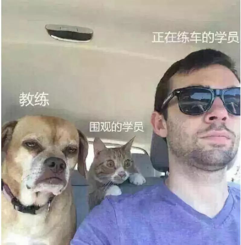 f0d9212257774c31b7400459b58eff53.jpeg