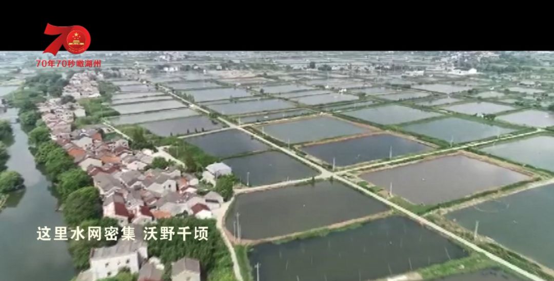 菱湖常住人口_70年70秒瞰湖州:菱湖