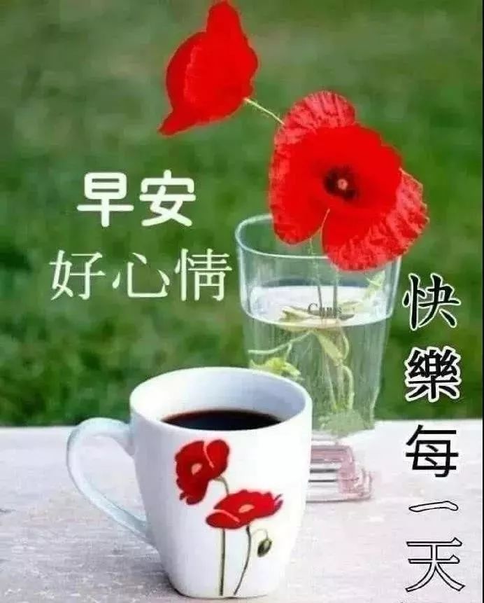 重阳节最新漂亮早上好动态美图鲜花带字早晨好幸福暖心的问候表情图片