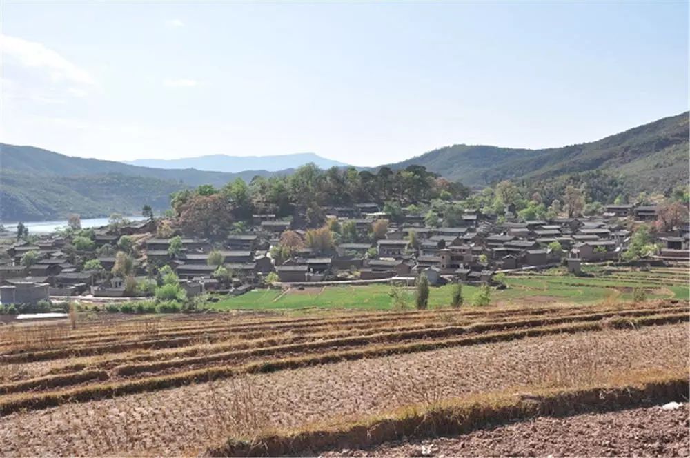 原汁原味的武定县高桥镇老滔村彝族赶鸟节