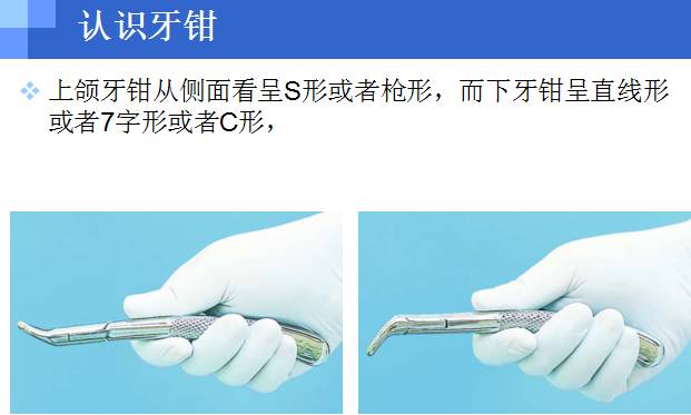 拔牙器械—牙钳
