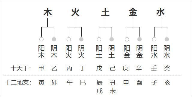 人口组啥字_人口普查(3)