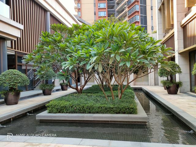 �²���ϵ��:realme X2���д�˵����ô����?