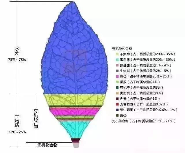 3517bc61c6c84be7bb0606f72481c537.jpeg