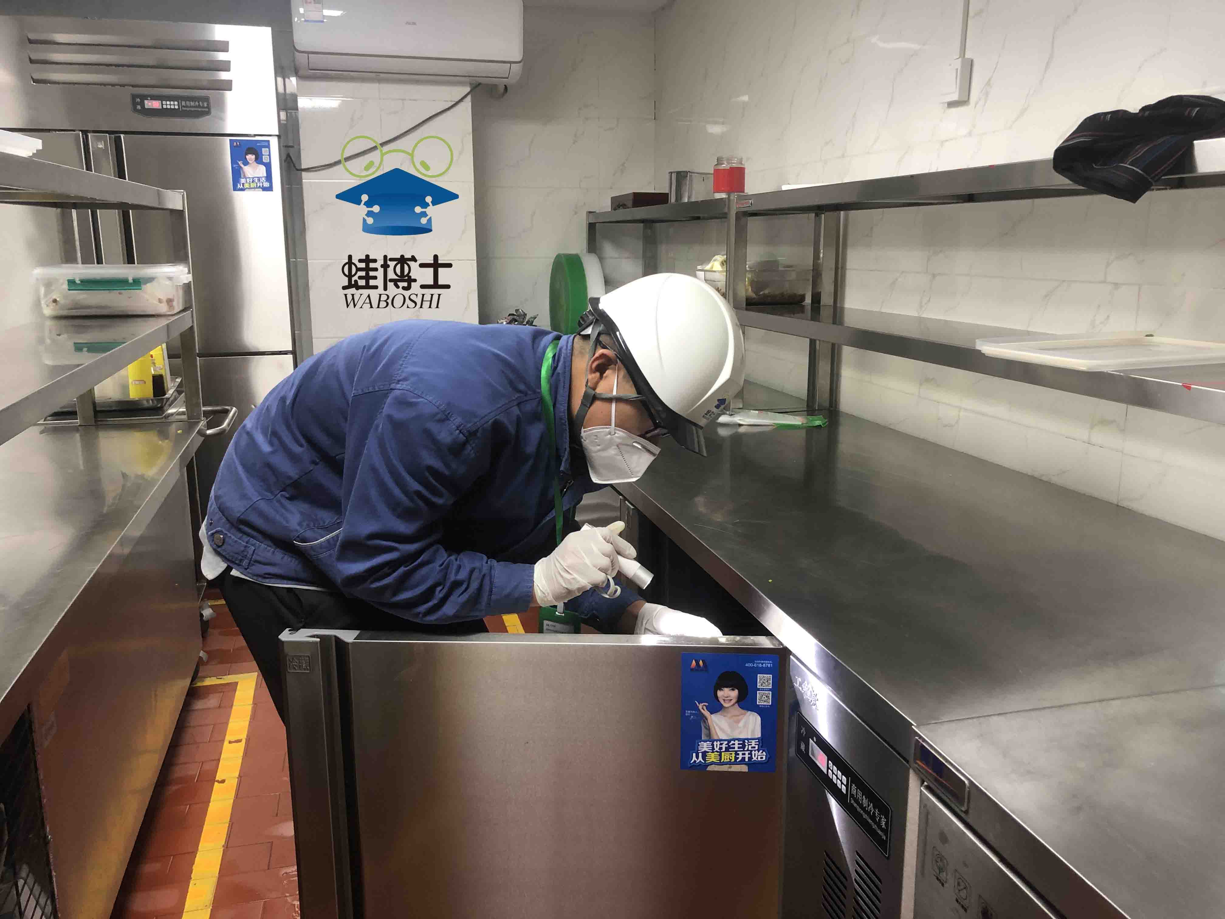 蟑螂人口蛙_蟑螂幼虫
