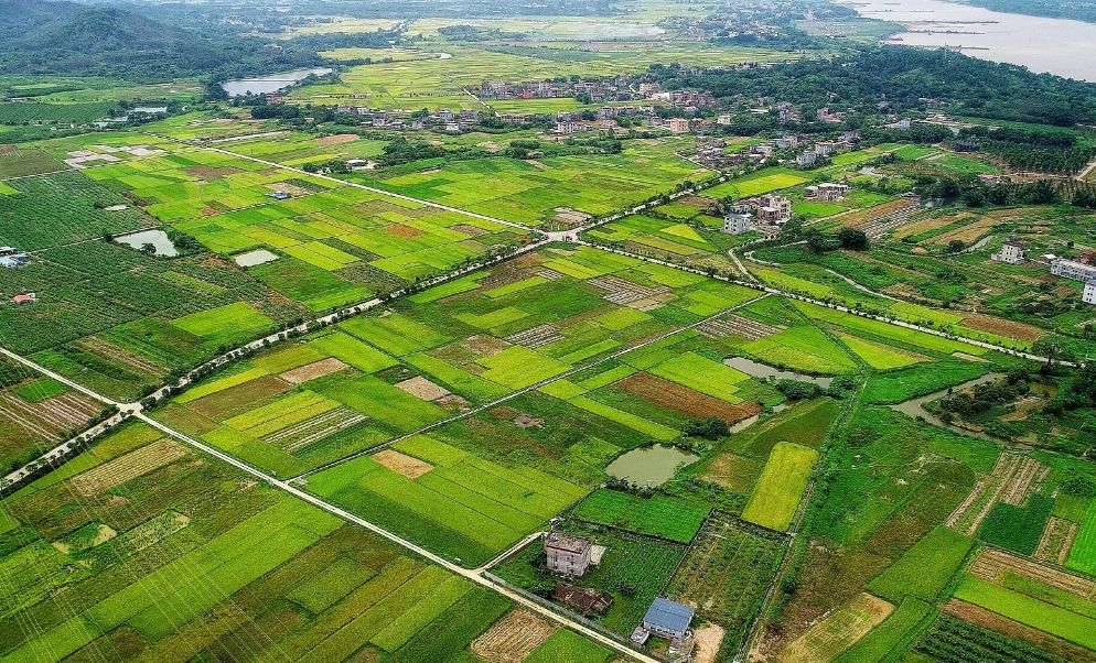 大机子村 63b13e42fe7f471e90aad0d80f2f8c70.jpeg