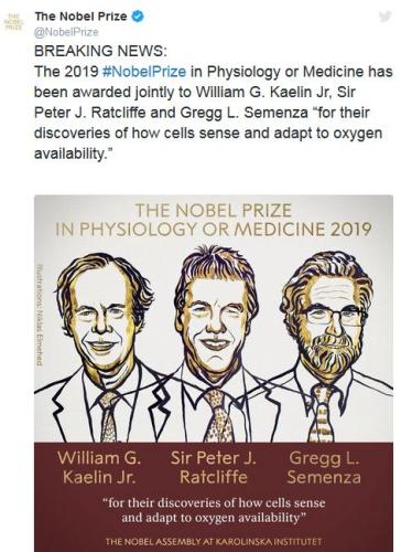 2019年诺贝尔生理学或医学奖揭晓3位科学家获奖