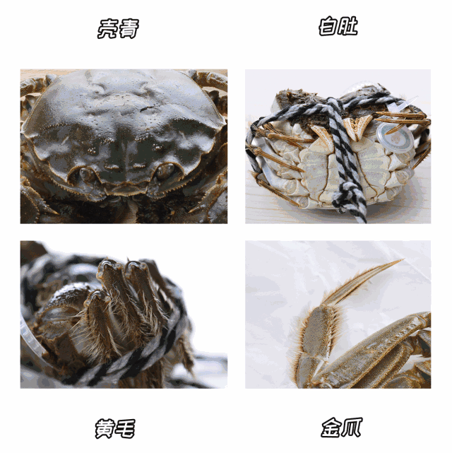 6a91abe6584b4004b805cde2bcec16d2.gif