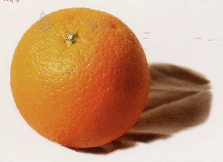 表现灰部的时候注意 【橙子】 再来是橙子的色彩静物教程, 和苹果