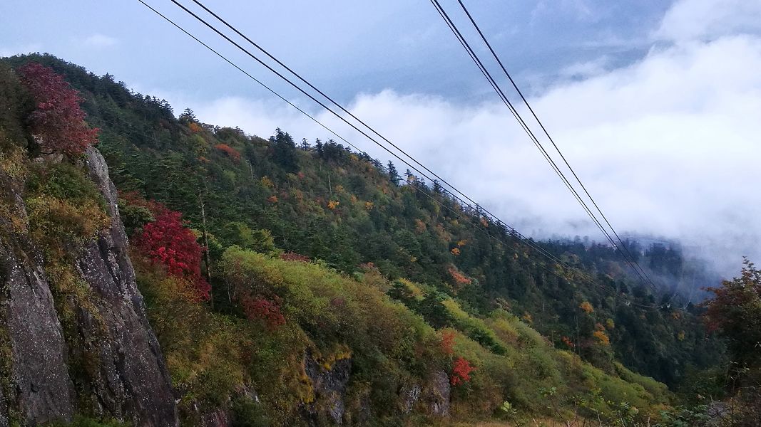 峨眉人口太少_峨眉刺