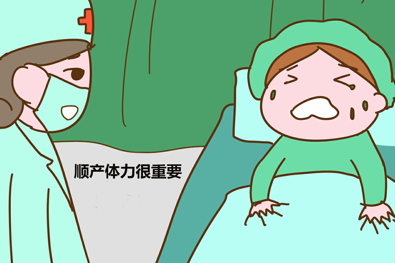 身上软没力气吃什么调理 84213fc53f274981987051a08f0ff40c.jpeg