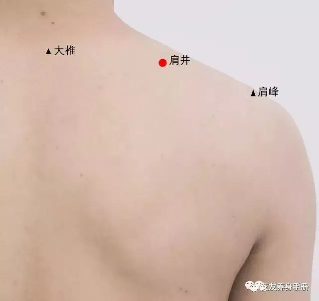 87f334792cbf45d889b149183c2ac3aa.jpeg