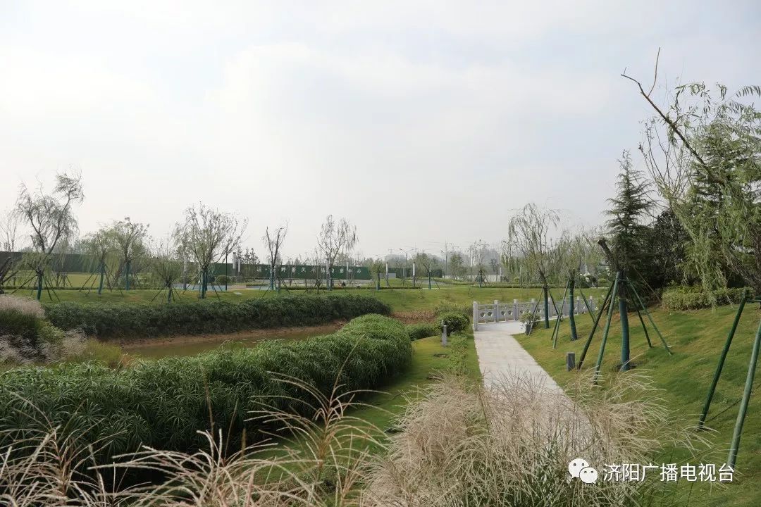 今日头条美爆济阳区闻韶公园美照来袭期待开园