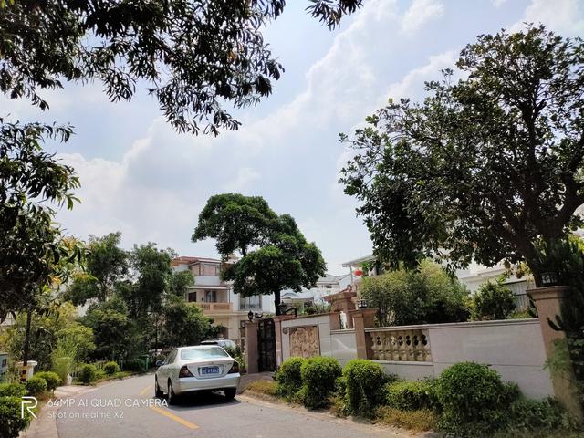 �²���ϵ��:realme X2���д�˵����ô����?