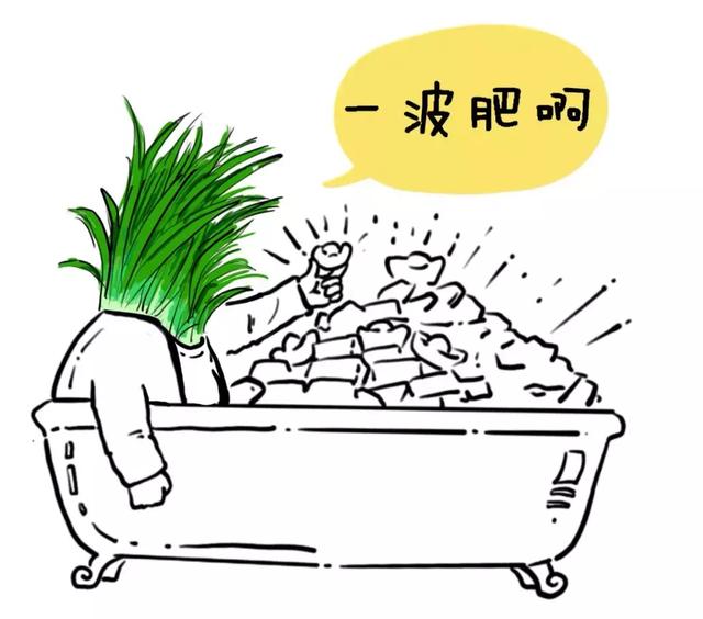 什么是分辨本领 a11c9811e06d4d7eb265996ca985647a.jpeg