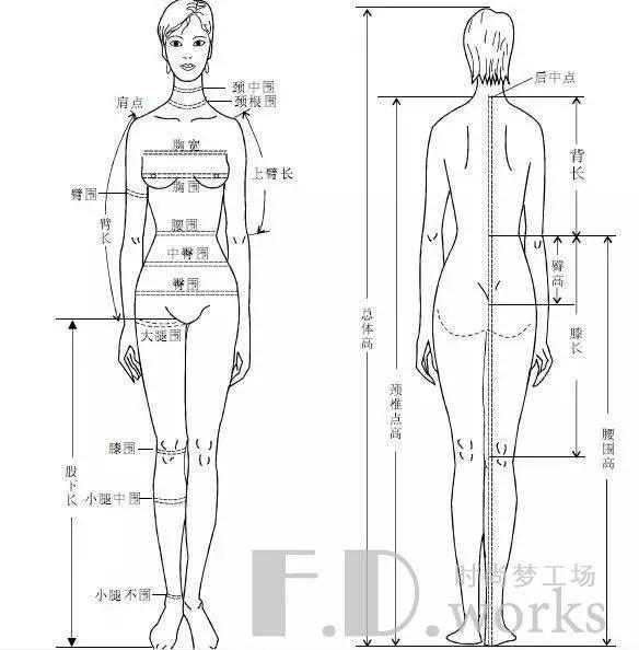 定制专栏女性量体知识收藏版