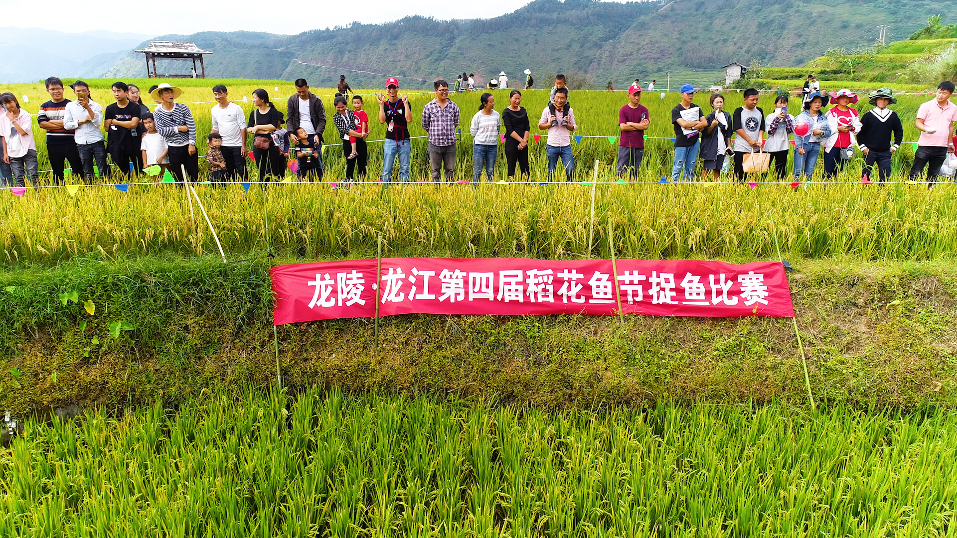 云南保山龙陵第四届龙陵龙江稻花鱼节开幕