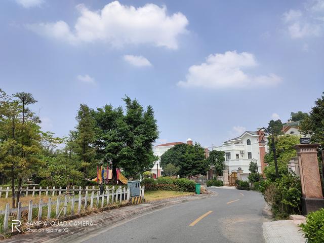 �²���ϵ��:realme X2���д�˵����ô����?