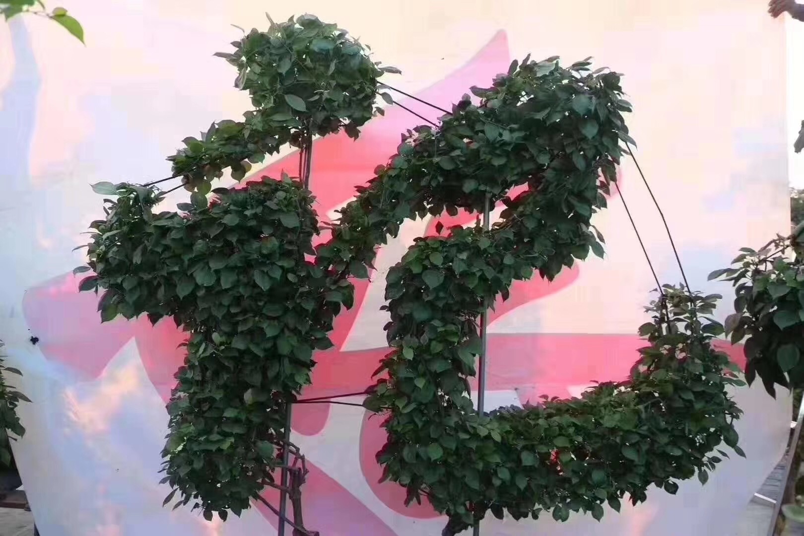 2019新款海棠 紫薇等植物编织字体艺术_造型