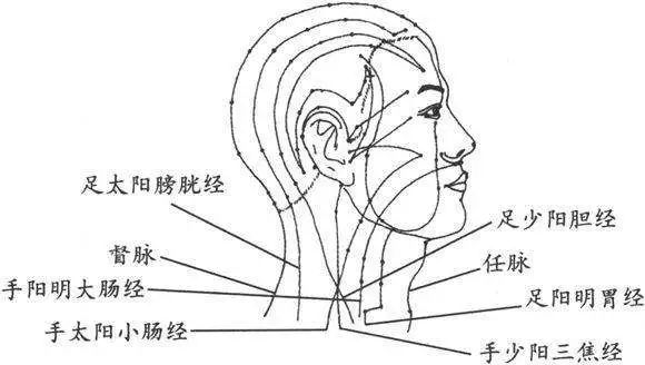 头皮一根皱,脸上六条纹,头疗一定要经常做!_头部