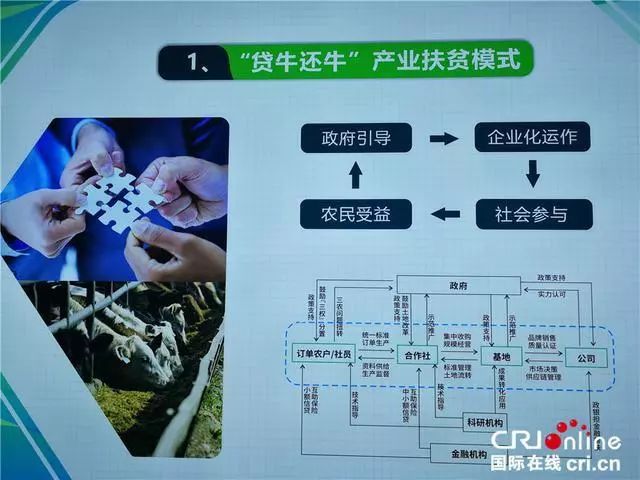 都安面积人口_世界都安静了图片