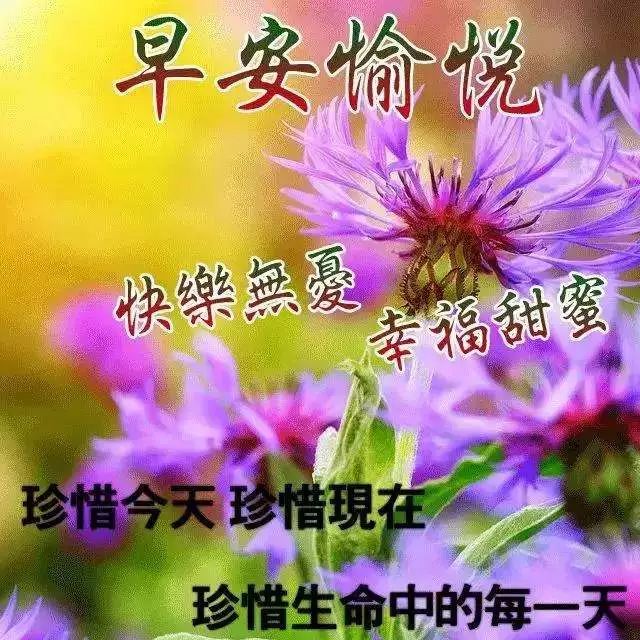 最新版早上好暖心祝福语短信句子 超级漂亮清晨问候祝福语图片