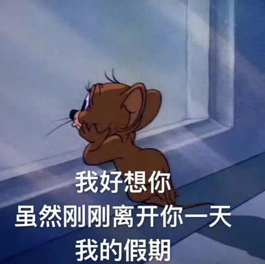 猫和老鼠套图 | 头像/壁纸/表情包/背景图