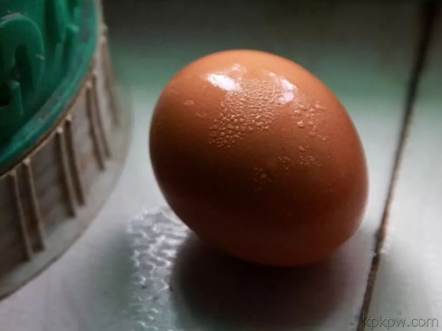 一段时间孵化,蛋黄也会发散的哦; 细菌,霉菌通过鸡蛋气孔侵入鸡蛋内部