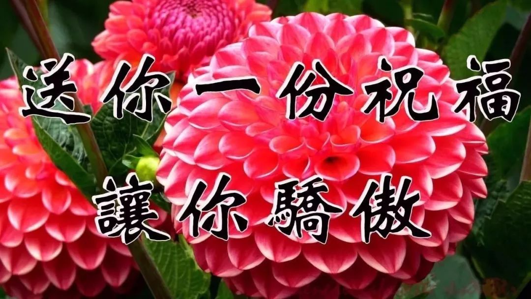 拥着健康 揣着幸福,携着快乐 牵着财运,带着吉祥 快把祝福送给家人