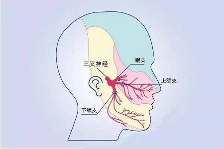 疼痛排名_疼痛奥林匹克