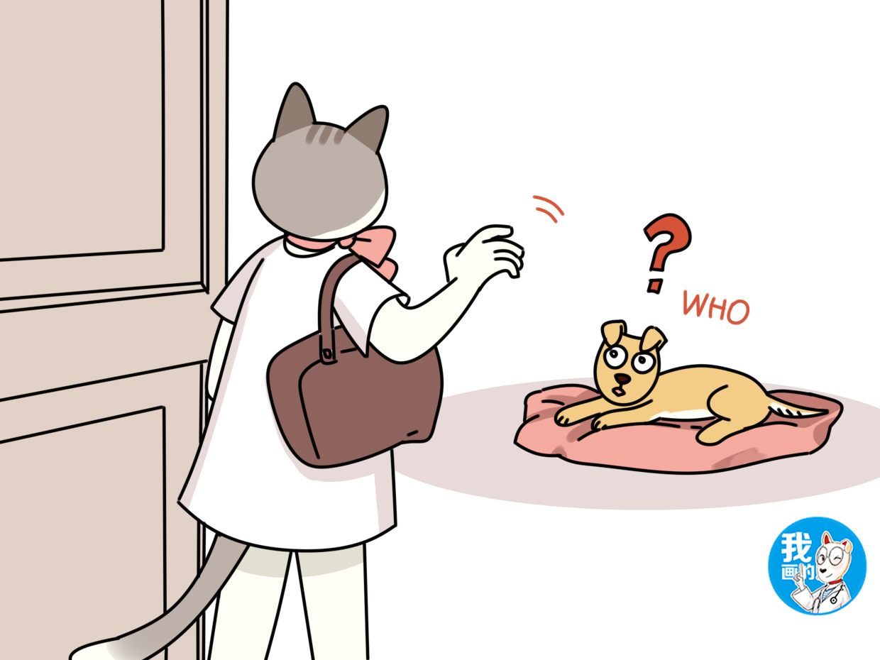 吃什么预防老年痴呆最好方法 d8e72fce76b04fcda7dab6edb57bae83.jpeg