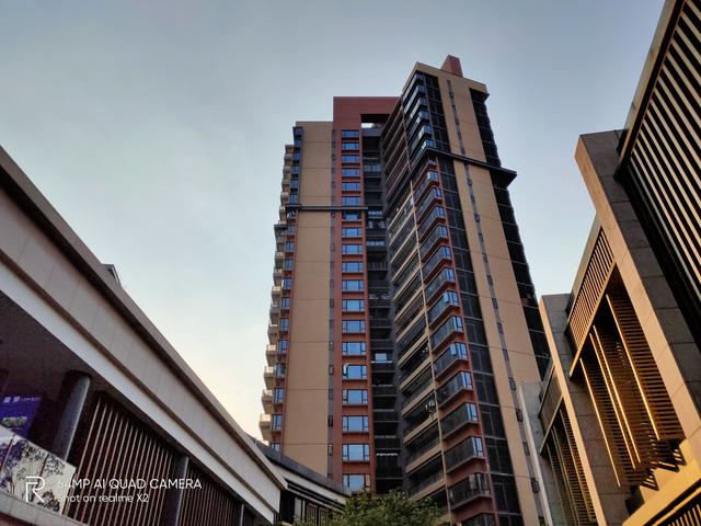 �²���ϵ��:realme X2���д�˵����ô����?