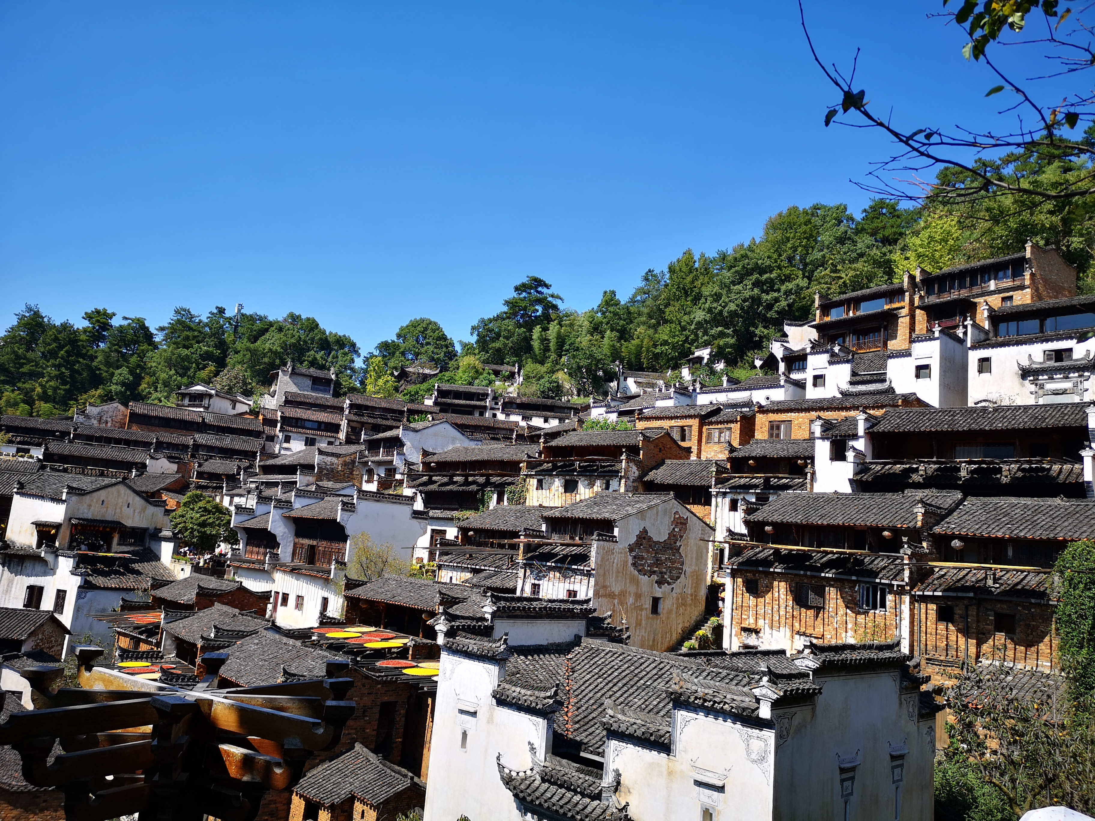 婺源旅游新亮点，打卡婺女洲度假区，吃、住、行、玩详细攻略在此 - 知乎