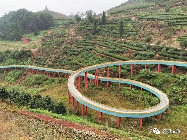 高县大雁岭—宜宾城市的后花园_景区