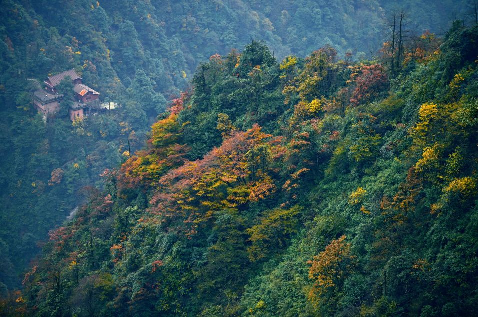 峨眉人口太少_峨眉刺