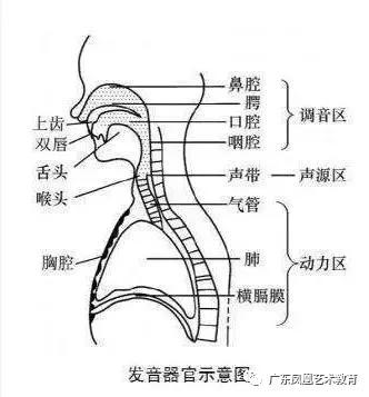 四人口腔音_口腔溃疡图片