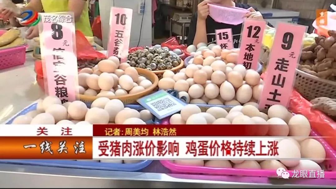 猪肉价格连续上涨鸡蛋价格呢 025d14e5125642f7974e1acd82085a17.jpeg
